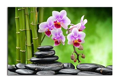 Fototapeta Bamboo Orchid Stones 24801